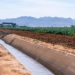 Practical water-saving strategies every SA farmer can use now