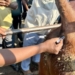 SAVC calls for tighter farm biosecurity before disease outbreaks