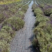 Six niche farming opportunities SA farmers can explore
