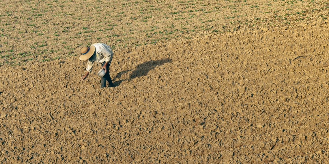 High input costs, geopolitical tensions, and limited access to finance for communal farmers are hitting the sector hard, leading to unemployment. Photo: Pexels