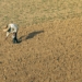 15 000 jobs shed: Why the SA agri sector is feeling the pinch