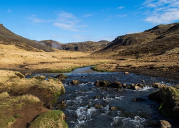 SA’s deepening water crisis threatens national food security