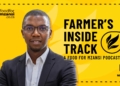 How grain farmers can secure cash flow and funding in uncertain seasons