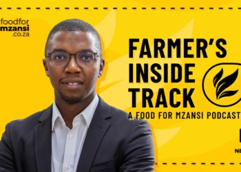 How grain farmers can secure cash flow and funding in uncertain seasons