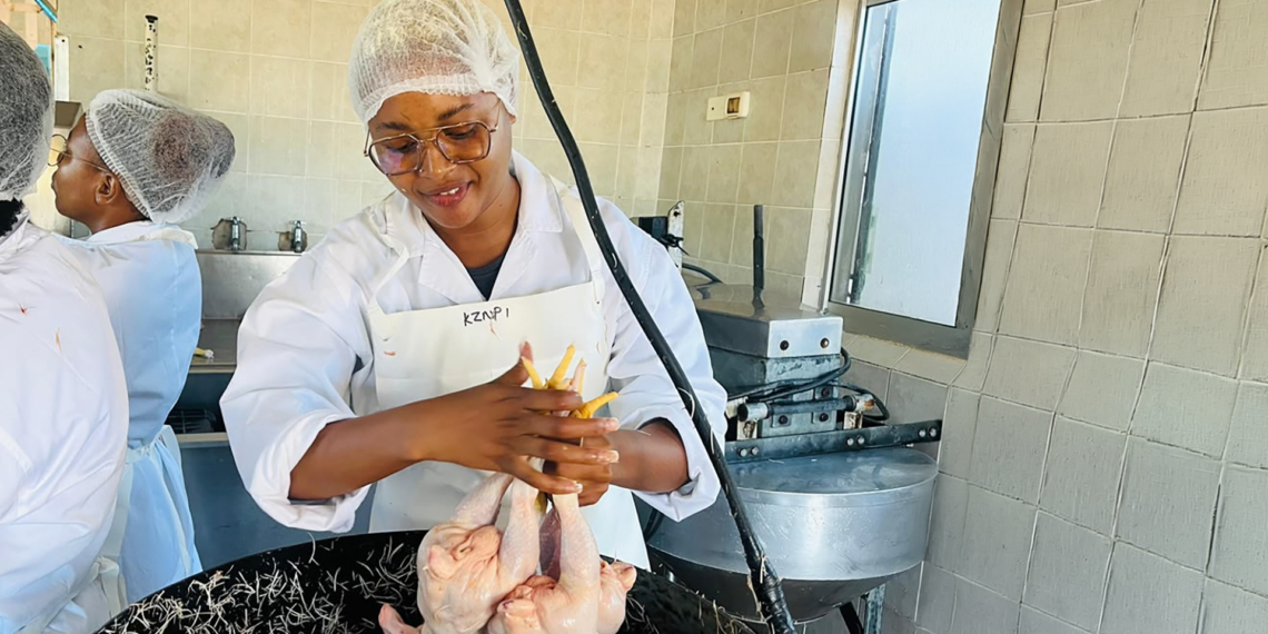 Ngwananku Poultry Projects owner Noxolo Portia Ngwenya inspects freshly processed broilers, ensuring all meat meets strict health and safety standards. Photo: Supplied/Food For Mzansi