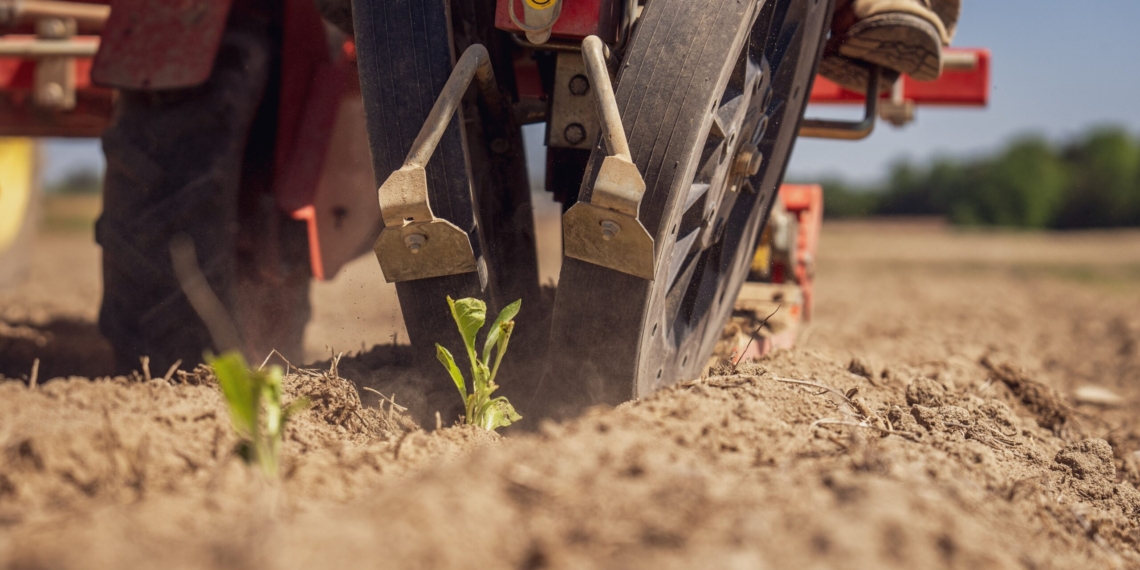Simple technologies such as weather stations, soil moisture probes and mobile irrigation applications can be just as valuable as advanced digital systems. Photo: Pexels
