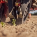 More than gadgets: How practical agritech boosts your bottom line