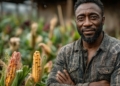 Land Bank’s blended finance scheme has supported about 540 clients since its launch in 2022/23, reflecting strong demand for affordable finance among qualifying farmers. Photo: Supplied/Food For Mzansi