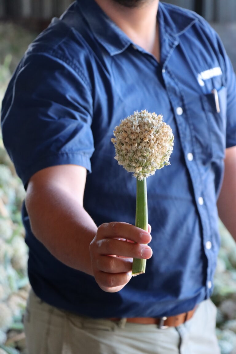 Know your water and soil: Practical tips for smarter drip irrigation ...
