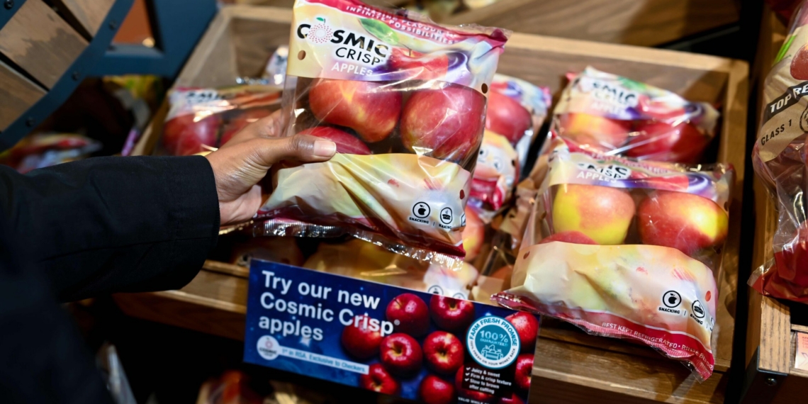 South Africa’s first Cosmic Crisp apple harvest is now making its way from growers in Grabouw and Ceres in the Western Cape to selected Checkers and Checkers Hyper stores nationwide. Photo: Supplied/Checkers
