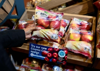 South Africa’s first Cosmic Crisp apple harvest is now making its way from growers in Grabouw and Ceres in the Western Cape to selected Checkers and Checkers Hyper stores nationwide. Photo: Supplied/Checkers