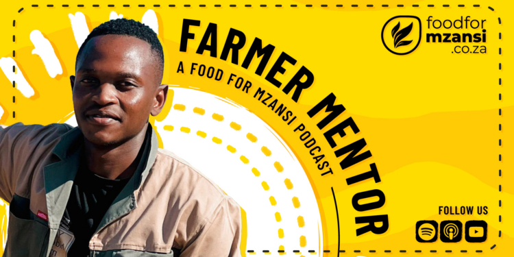 Moleke Maphila’s journey with Baswa Timu shows that sustainable farming requires resourcefulness, efficient water use, value addition, teamwork and resilience. Photo: Gareth Davies/Food For Mzansi