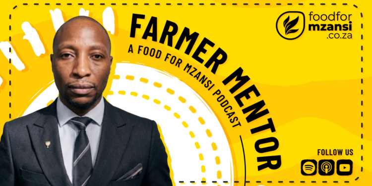Jeremiah Jotham, director of Basadi Agribusiness, shares how diversification, efficient use of existing resources and strategic partnerships have helped him build a more resilient agribusiness. Photo: Gareth Davies/Food For Mzansi