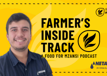 Know your water and soil: Practical tips for smarter drip irrigation