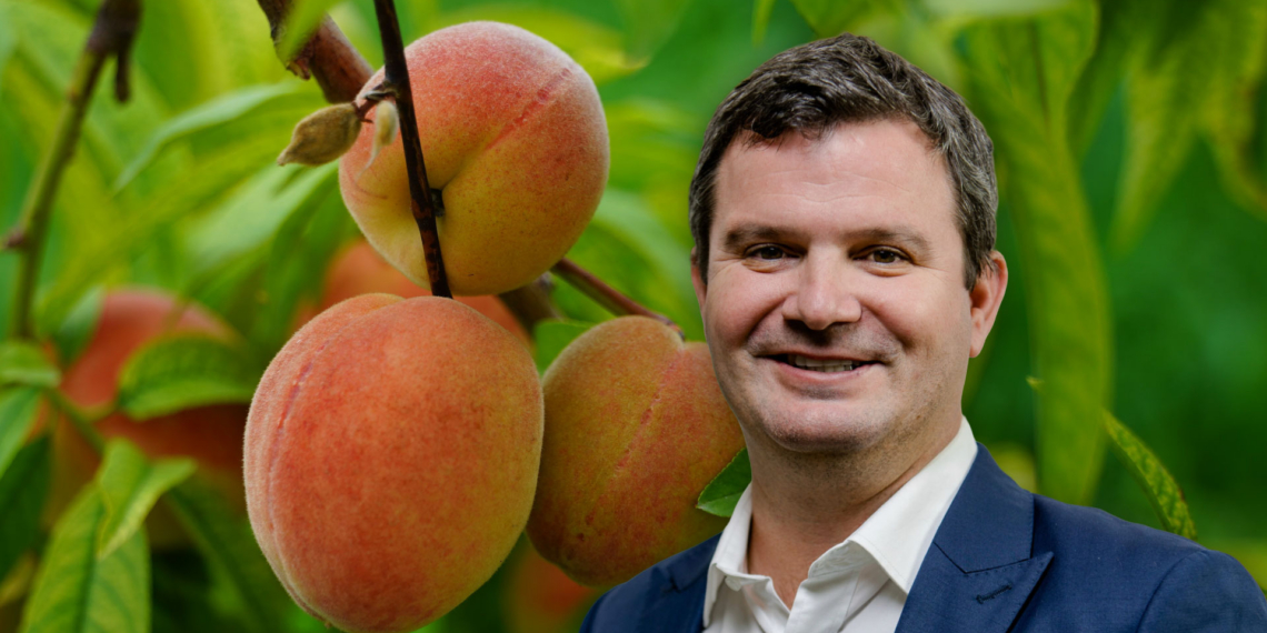 Hortgro’s new chief executive officer, Jacques du Preez, plans to focus on stabilising port logistics, advancing climate-smart production research, and securing strategic international market access for local growers. Photo: Gareth Davies/Food For Mzansi