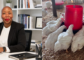 Pivot to poultry: Jennifer Gazide swaps boardroom for broiler house