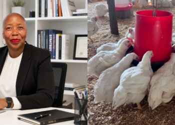 Pivot to poultry: Jennifer Gazide swaps boardroom for broiler house