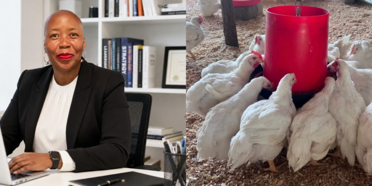 Former real estate specialist Jennifer Gazide turned her savings and rural roots into a growing poultry enterprise in Bushbuckridge, Mpumalanga. Photos: Supplied/ Food For Mzansi