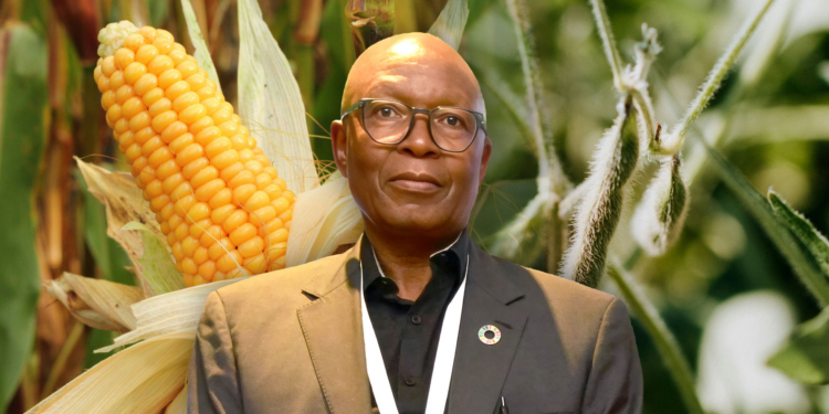 Sacau CEO Ishmael Sunga explains how Africa can build resilient poultry feed systems and lower production costs by integrating young agripreneurs into yellow maize, soya, and milling value chains. Photo: Gareth Davies/Food For Mzansi