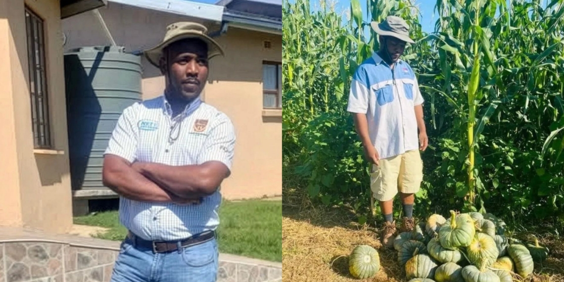 Sinalo Xhamlashe dropped out of electrical engineering to turn his family’s land in Ngcobo, Eastern Cape, into a thriving commercial farming enterprise. Photos: Supplied/Food For Mzansi