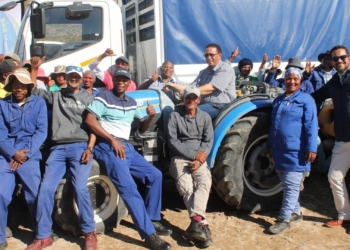 Strategic support sparks record-breaking growth at WC grape farm