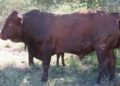 This week’s agri events: 21-25 September