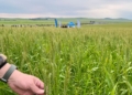 Smarter farm decisions start with actionable weather data