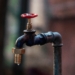 Farmers rethink water use as shortages threaten food production