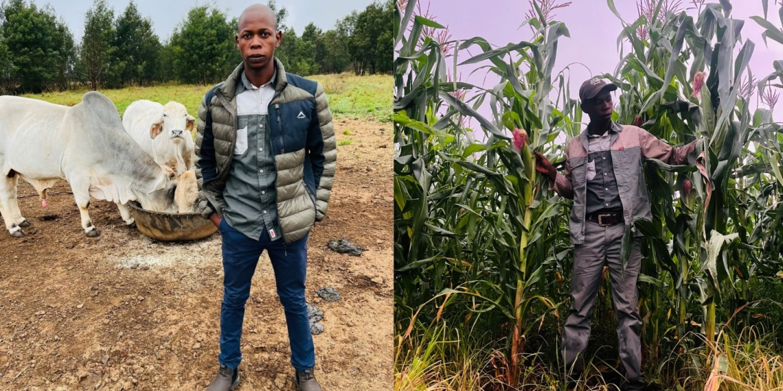 Inspired by his father’s work in Khambi, Vryheid, Sakhile Zondo founded Legacy Farm in 2020 to build on a 15-year family agricultural tradition.
Photos: Supplied/Food For Mzansi