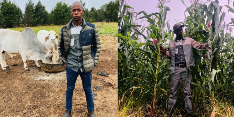 Inspired by his father’s work in Khambi, Vryheid, Sakhile Zondo founded Legacy Farm in 2020 to build on a 15-year family agricultural tradition.
Photos: Supplied/Food For Mzansi