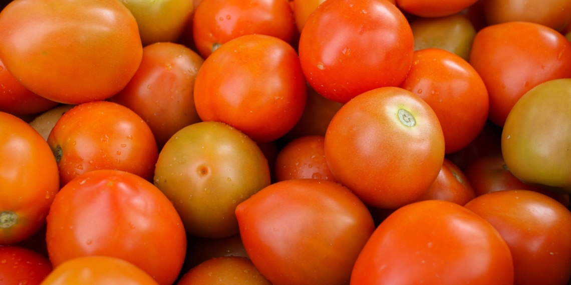 Tomatoes spike 38% and potato stocks tighten across South African markets, while onion prices reach a potential turning point. Photo: Fuka Jaz/Pexels