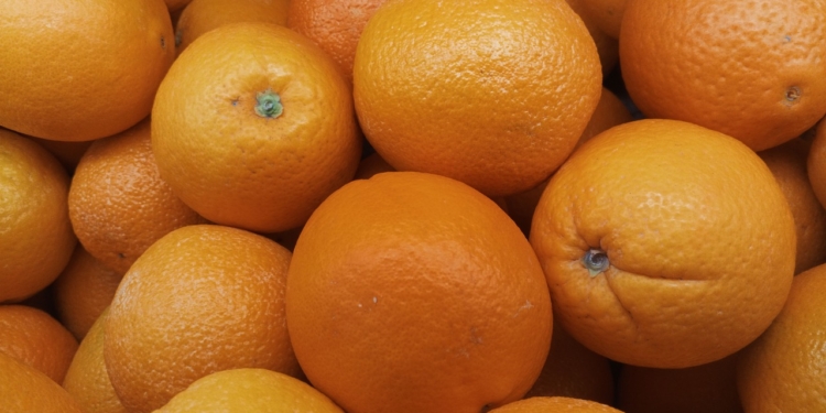In agricultural economist Conce Moraba’s latest GroundRules market update, oranges dropped 60%. Photo: Nda Arsa/Pexels