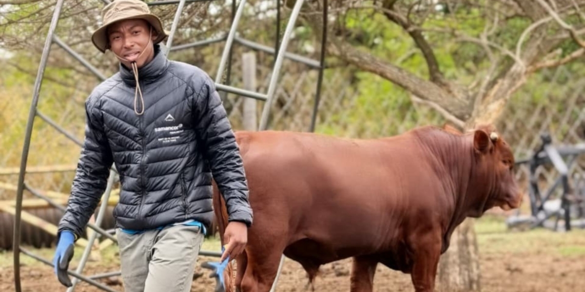 Agri Skills Transfer combines hands-on farming experience, guaranteed industry placements, and new 2027 qualifications to prepare South Africa's future agricultural leaders. Photo: Supplied/Food For Mzansi