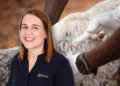 High input costs drive SA grain farmers to rethink crop mix