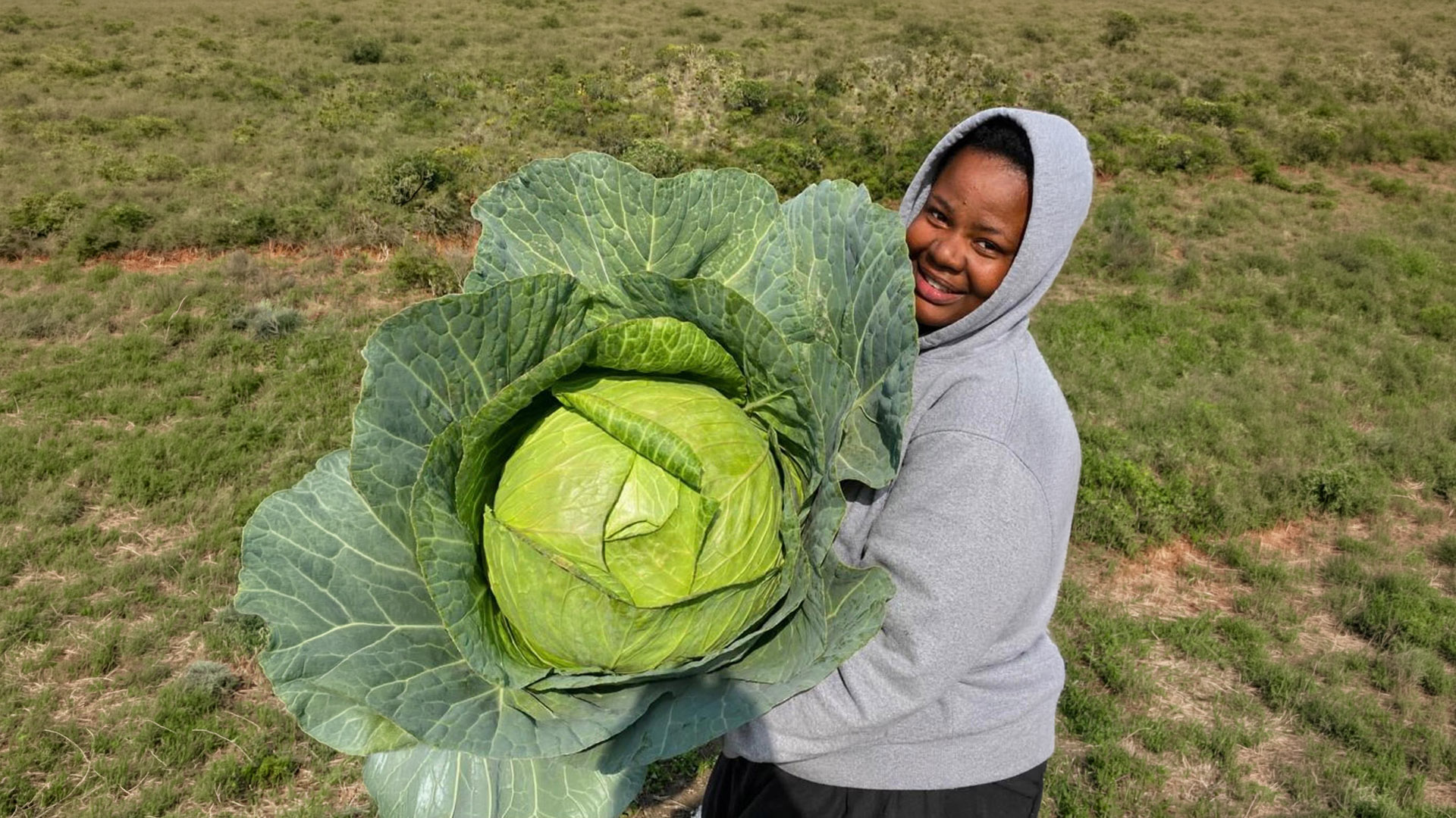 Sibahle Sifo scales Eastern Cape cabbage enterprise