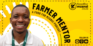 Gauteng Young Farmer runner-up Mogale Maleke is using mechanical engineering to build hydroponic systems tailored for South African conditions. Photo: Gareth Davies/Food For Mzansi