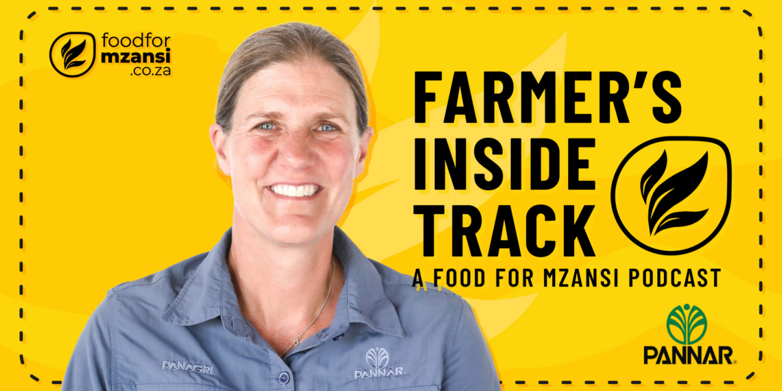 Kerry Rowlands, a field agronomist at Pannar Seed, discusses crucial strategies to protect feed energy and eliminate costly storage losses. Photo: Gareth Davies/Food For Mzansi