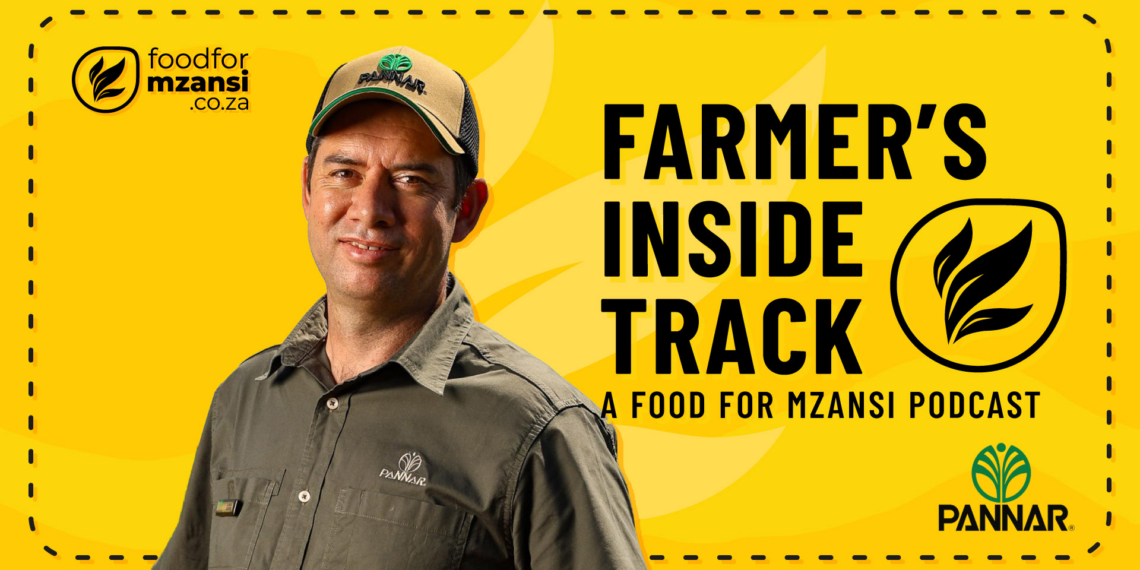Pannar Seed’s Lukas Meyer urges farmers to focus on margins and break-even costs rather than yield alone. Photo: Gareth Davies/Food For Mzansi