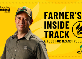 Farm for margin, not just yield, says Pannar’s Meyer