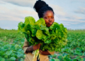 Palesa proves small-scale farming can feed communities, retailers