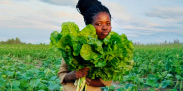 Palesa proves small-scale farming can feed communities, retailers
