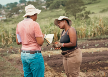 Inchanga Agroecology Hub: Building lasting community impact