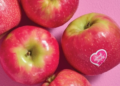 SA Pink Lady apples see strong growth across European markets