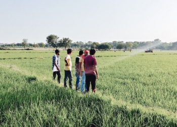 Reality check: What SA agri interns really experience on the farm