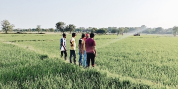 Reality check: What SA agri interns really experience on the farm