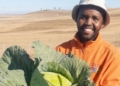 Eastern Cape farmer bets on poultry and grows a diverse business