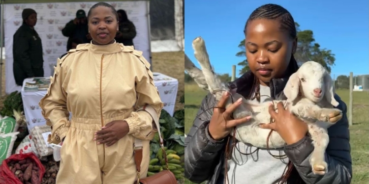 Lwambeso Asanda Sizani from the Eastern Cape started farming with two pregnant Savannah goats. The accounting student now manages a thriving operation on communal land and grows maize for feed. Photos: Supplied/Food For Mzansi
