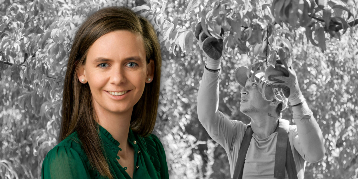 AgriSA COO Jolanda Andrag breaks down why replacing cumbersome corporate visas with an agricultural sectoral visa will boost compliance, streamline administration, and protect both local jobs and seasonal crops. Photo: Gareth Davies/Food For Mzansi