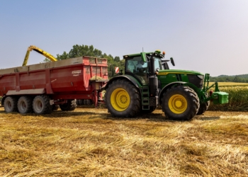 High input costs drive SA grain farmers to rethink crop mix