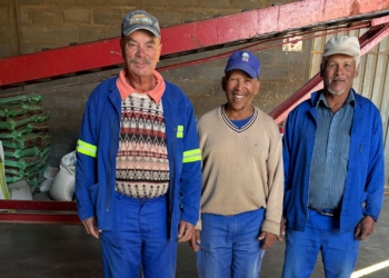 Feed relief brings hope to drought-stricken Loeriesfontein farmers